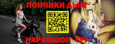 спиды Кингисепп