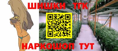 спиды Кингисепп