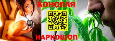 спиды Кингисепп
