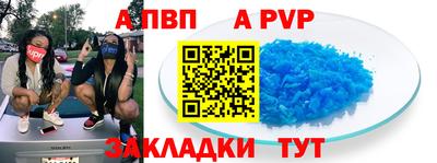 спиды Кингисепп
